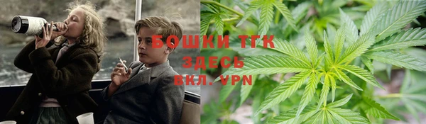первитин Новодвинск