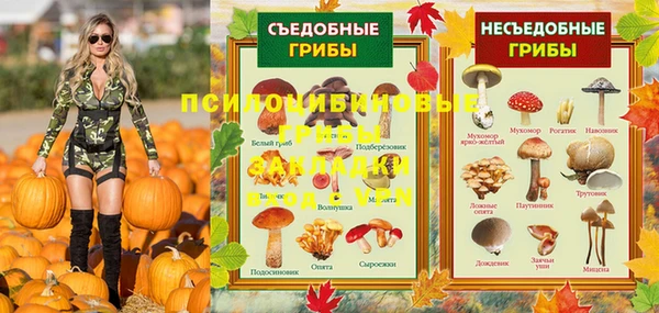крисы Нязепетровск