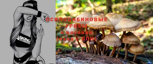 ешки Няндома