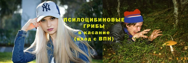 ALPHA PVP Новозыбков