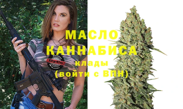первитин Новодвинск